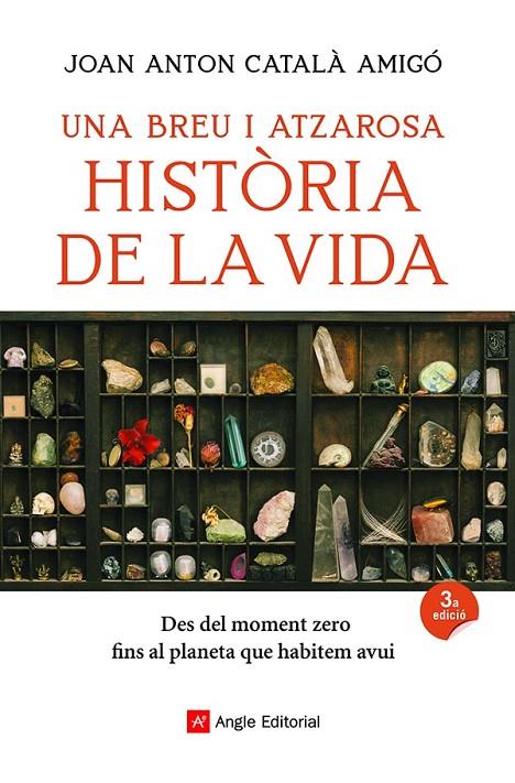 BREU I ATZAROSA HISTÒRIA DE LA VIDA, UNA | 9788418197956 | CATALÀ AMIGÓ, JOAN ANTON